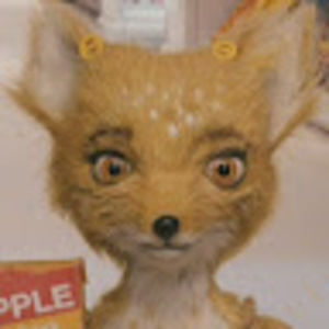 Meet your Posher, Dylan